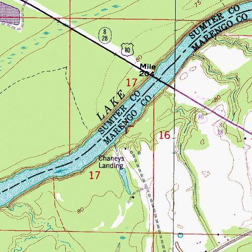 Topographic Map of Chaneys Landing (historical), AL