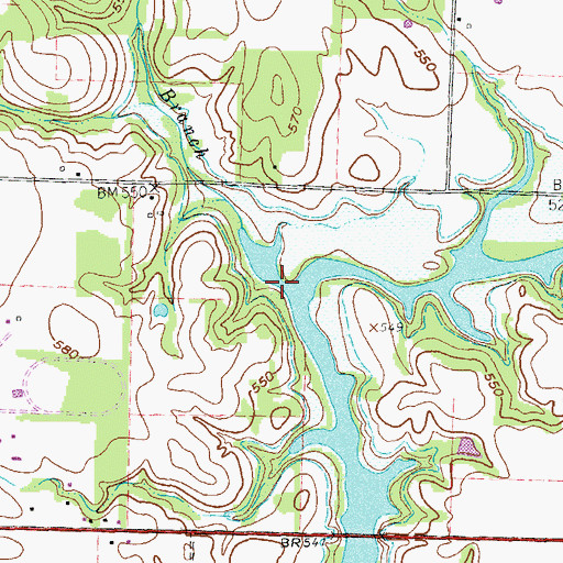 Topographic Map of Running Branch, TX