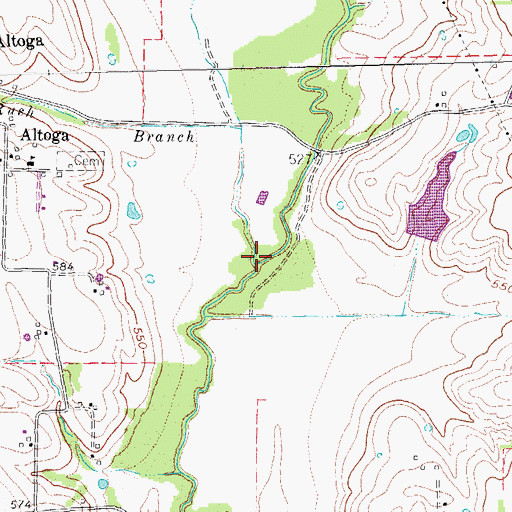 Topographic Map of Rush Branch, TX