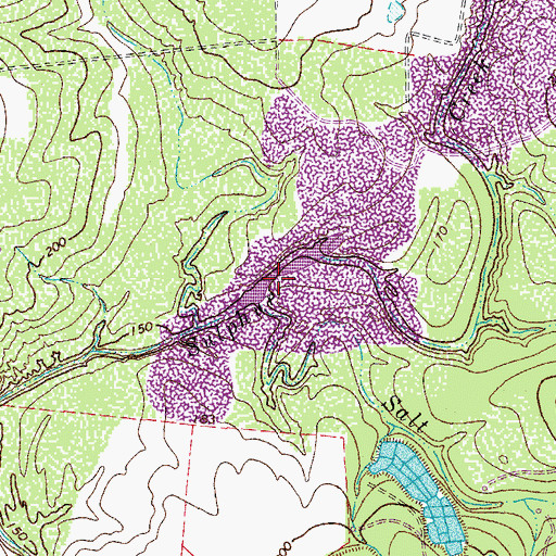 Topographic Map of Salt Branch, TX