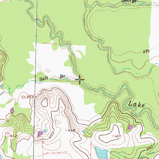 Topographic Map of Salt Branch, TX