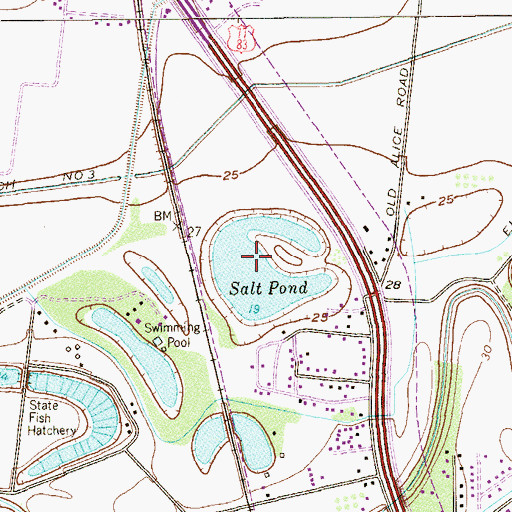 Topographic Map of Salt Pond, TX