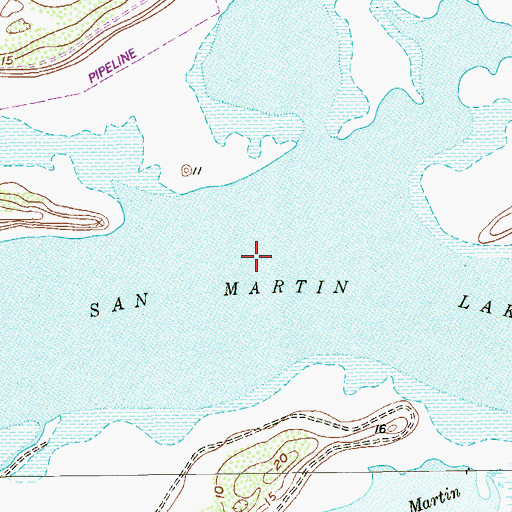 Topographic Map of San Martin Lake, TX