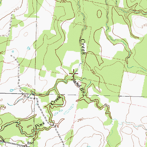 Topographic Map of Sand Branch, TX