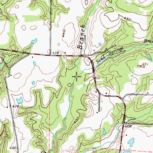Topographic Map of Sand Springs Branch, TX