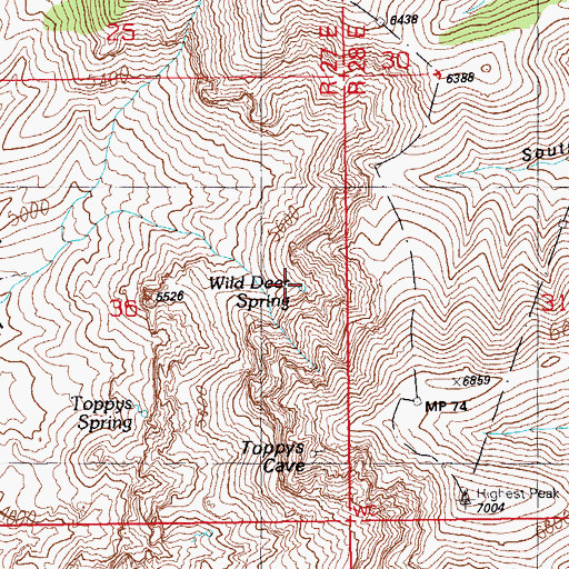 Topographic Map of Wild Deer Spring, AZ
