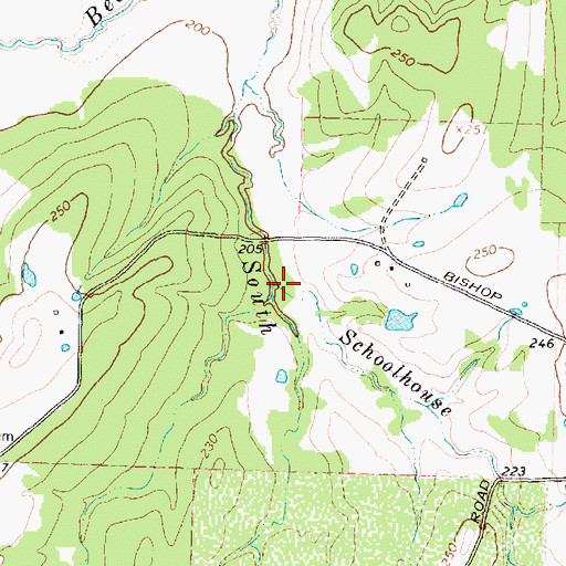Topographic Map of Schoolhouse Branch, TX