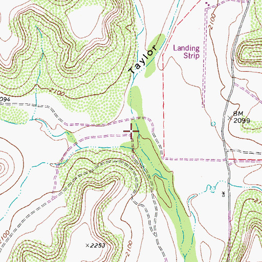 Topographic Map of Shaggy Canyon, TX