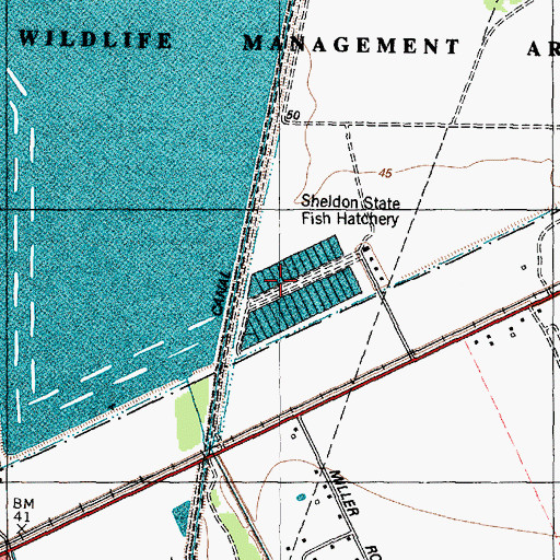 Topographic Map of Sheldon Fish Hatchery, TX