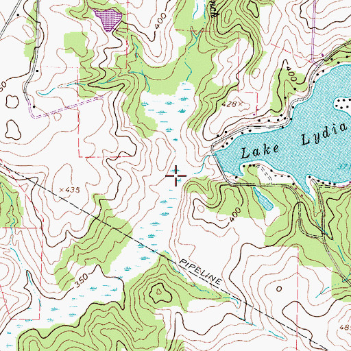 Topographic Map of Shiloh Branch, TX