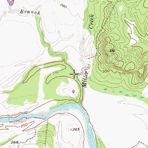 Topographic Map of Shiloh Branch, TX