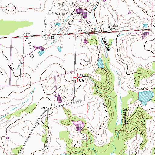 Topographic Map of Shiloh Church, TX