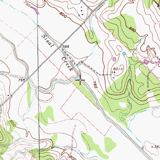 Topographic Map of Sisal Creek, TX