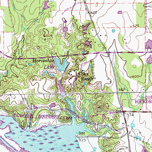 Topographic Map of Sky Ranch, TX