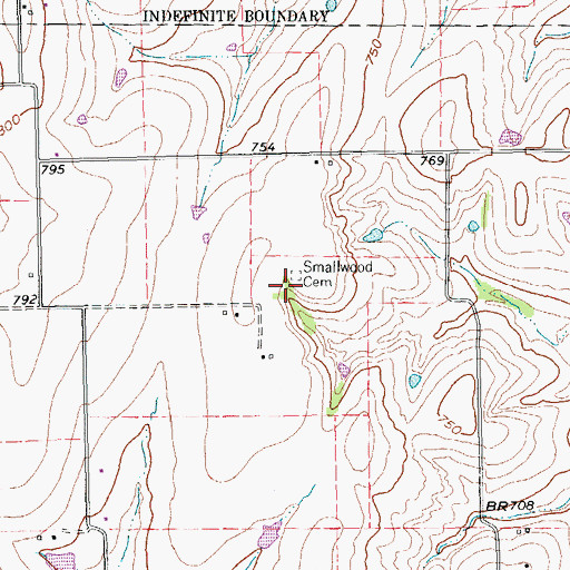 Topographic Map of Smallwood Cemetery, TX