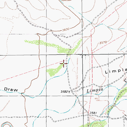 Topographic Map of South Carrizo Draw, TX
