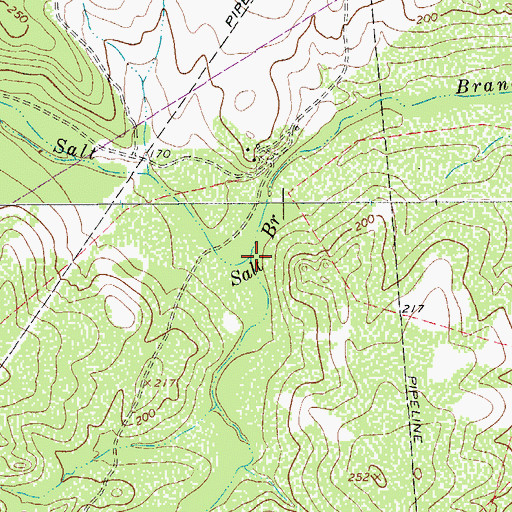 Topographic Map of South Fork Salt Branch, TX