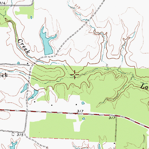 Topographic Map of South Lacy Creek, TX