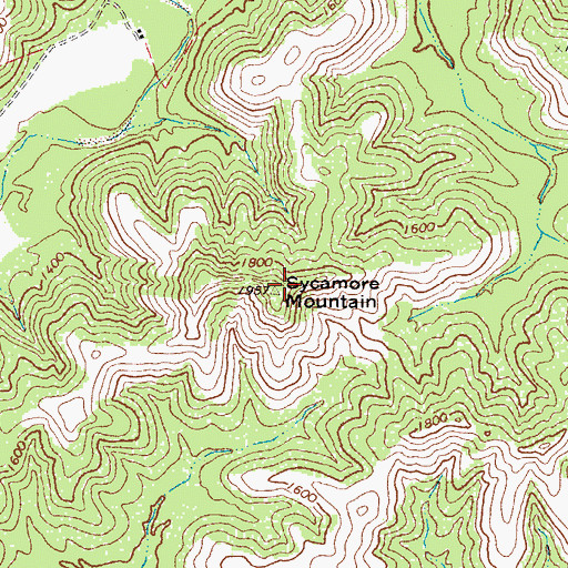 Topographic Map of Sycamore Mountain, TX