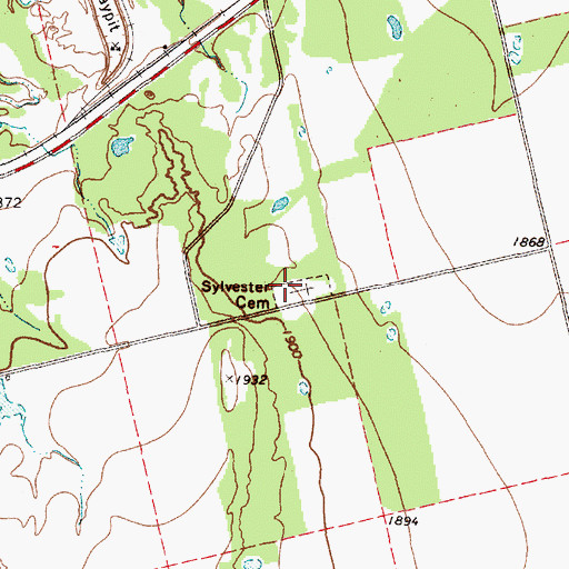 Topographic Map of Sylvester Cemetery, TX