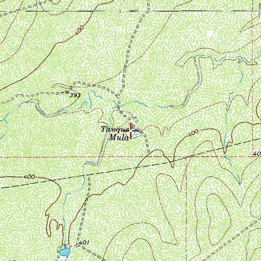 Topographic Map of Tanque Mula, TX