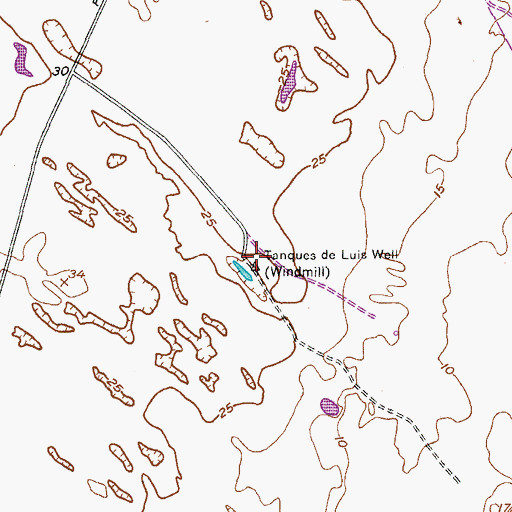 Topographic Map of Tanques de Luis Well, TX