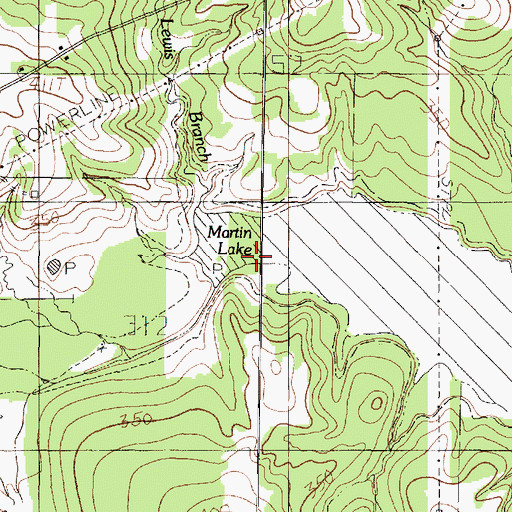 Topographic Map of Tenny Lewis Branch, TX