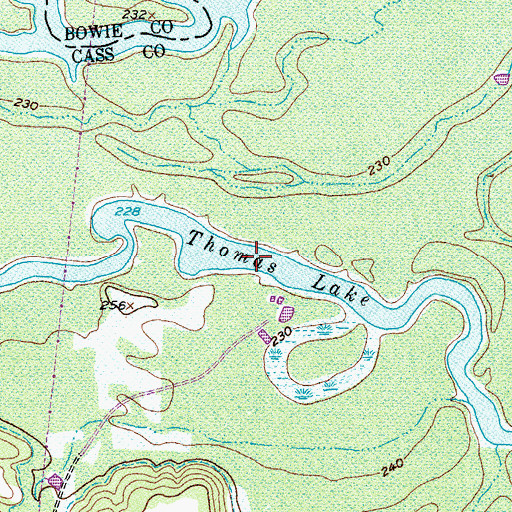 Topographic Map of Thomas Lake, TX