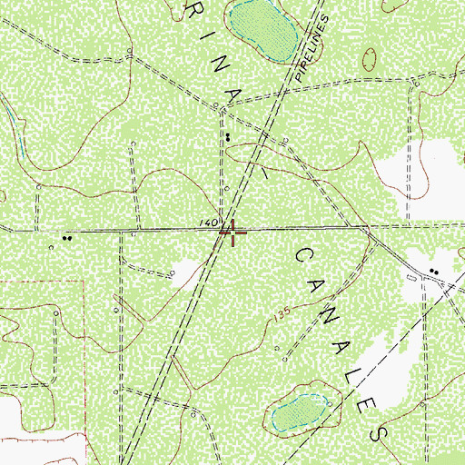 Topographic Map of Tijerina-Canales-Blucher Oil Field, TX