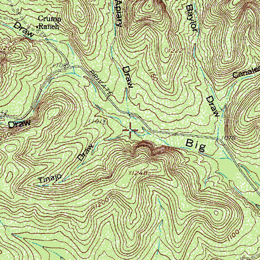 Topographic Map of Tinajo Draw, TX