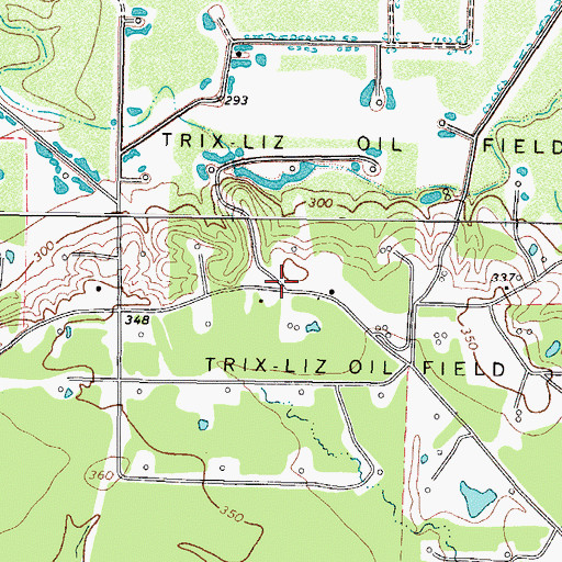 Topographic Map of Trix-Liz Oil Field, TX