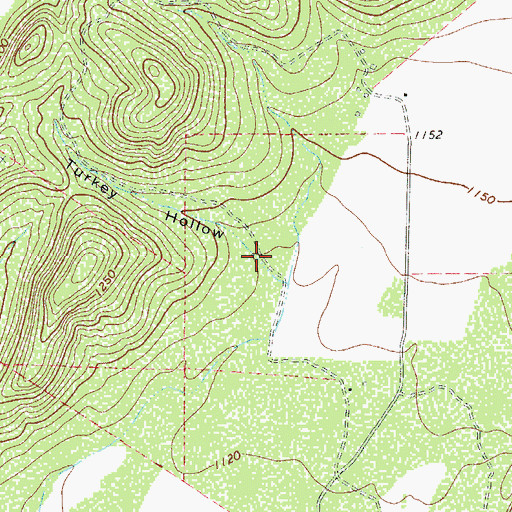 Topographic Map of Turkey Hollow, TX