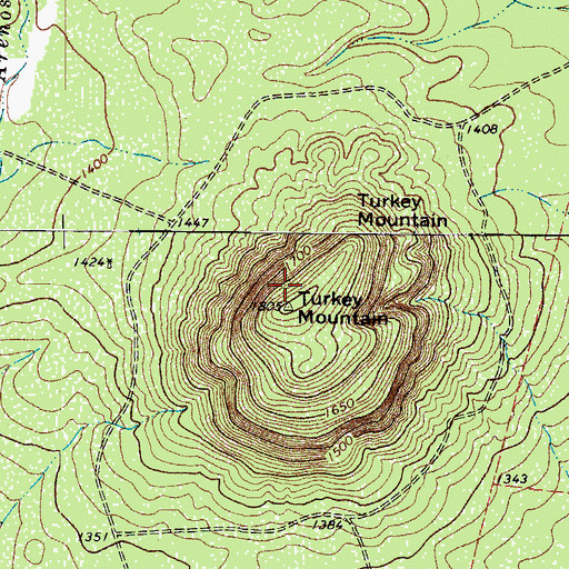 Topographic Map of Turkey Mountain, TX