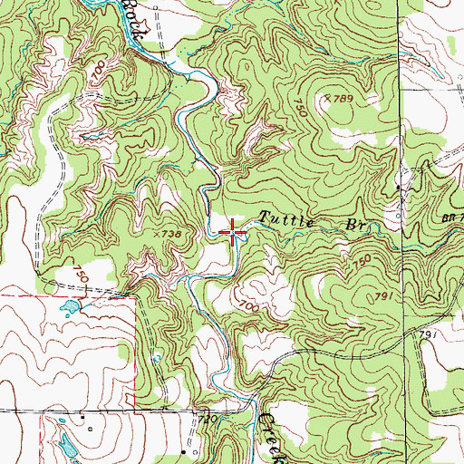 Topographic Map of Tuttle Branch, TX