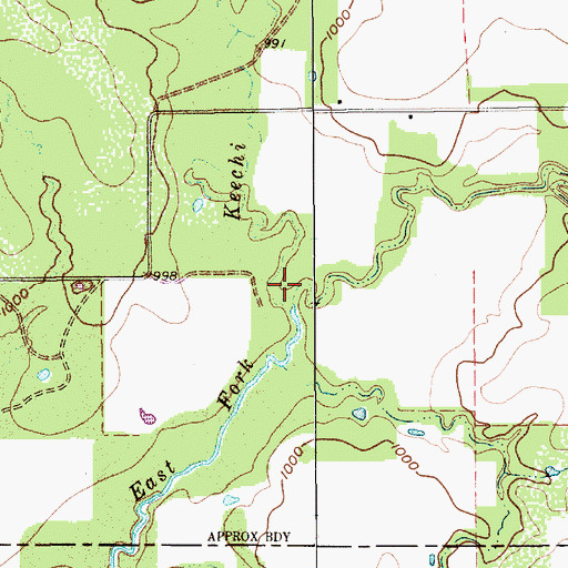 Topographic Map of Two Bush Branch, TX