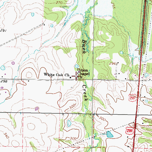 Topographic Map of Union Chapel, TX