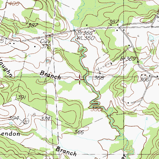Topographic Map of Vaughn Branch, TX