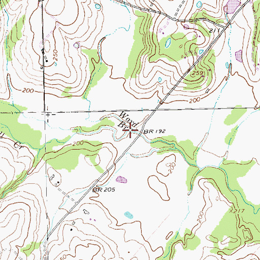 Topographic Map of Ward Branch, TX