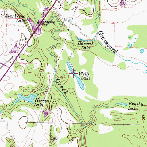 Topographic Map of Wells Lake, TX