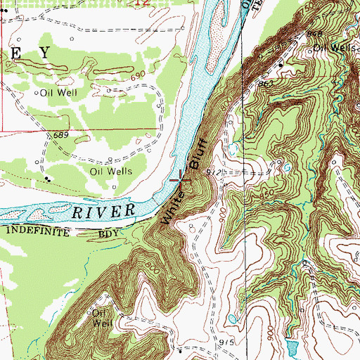 Topographic Map of White Bluff, TX