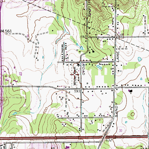 Topographic Map of White Cemetery, TX