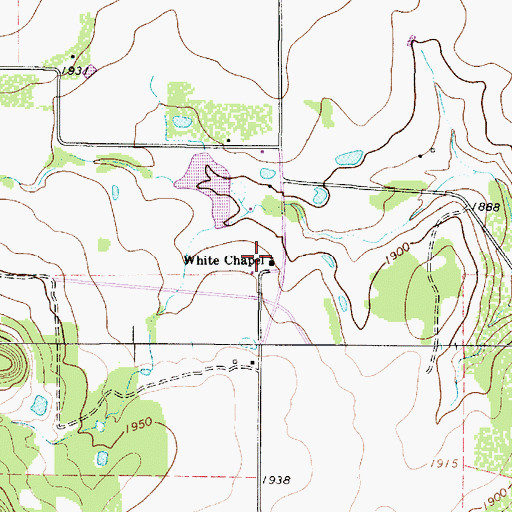 Topographic Map of White Chapel, TX