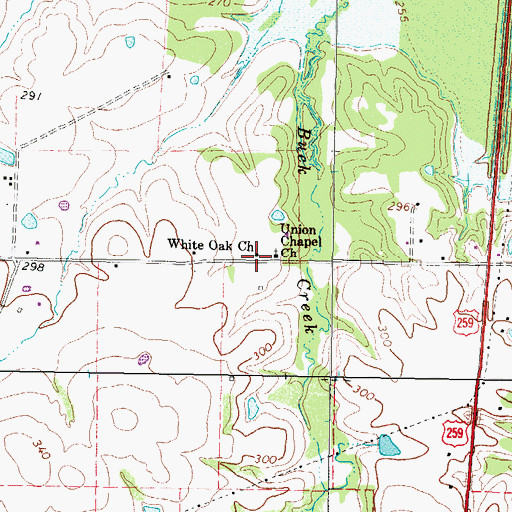 Topographic Map of White Oak Church, TX