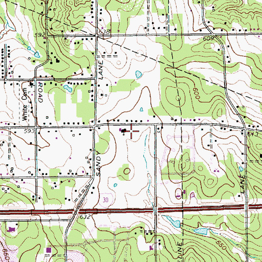 Topographic Map of White School, TX