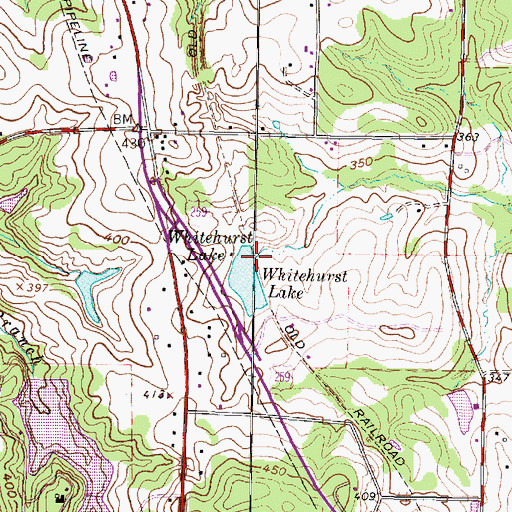 Topographic Map of Whitehurst Lake, TX