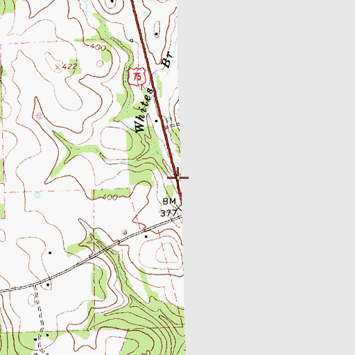 Topographic Map of Whites Branch, TX