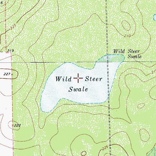 Topographic Map of Wild Steer Swale, TX