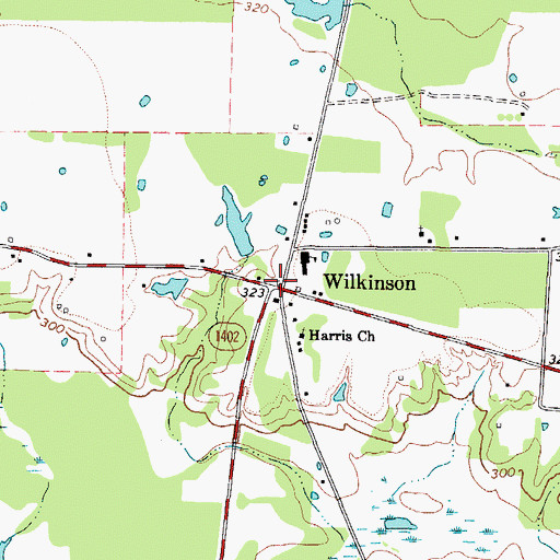 Topographic Map of Wilkinson, TX