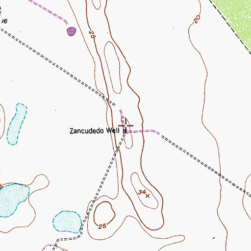 Topographic Map of Zancudedo Well, TX