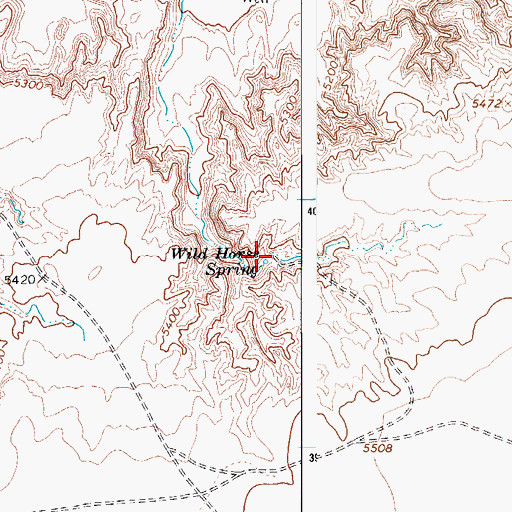 Topographic Map of Wild Horse Spring, AZ